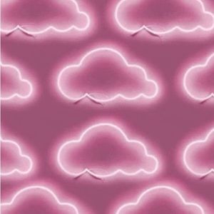 Meet your Posher, Ranya